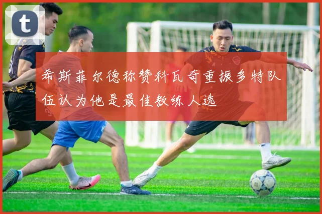 希斯菲尔德称赞科瓦奇重振多特队伍认为他是最佳教练人选