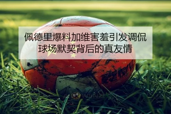 img_1791927663790_4851_0_313.jpg | TIANBOSPORTS